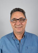 Foto de FORMIGA