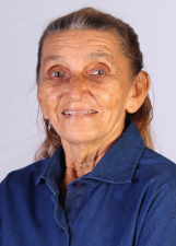 Foto de ROSA DO MISTURA FINA