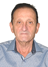 Foto de FEFEU NOVELLI