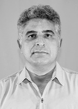 Foto de WILTON PINGUIM