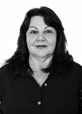 Foto de ROSELI VIDOLIN PIRES