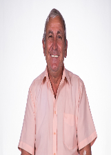 Foto de BARCELLOS