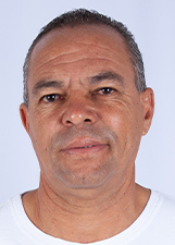 Foto de GIBÃO