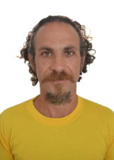 Foto de LEVI LEITE GIRASSOL