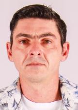 Foto de PERIQUITO