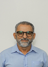 Foto de ABELHA