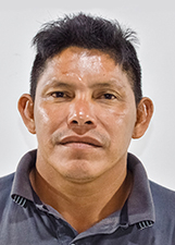 Foto de ARROZAL