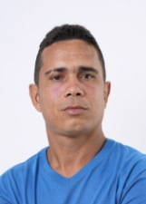 Foto de GALO VELHO