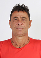 Foto de HERCULES-ARANHA