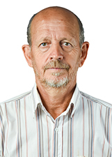 Foto de ABACAXI DA LANCHONETE