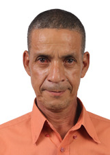 Foto de SEO BONECO